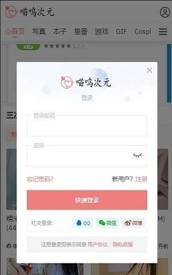 春天有哪些能吃的野菜？